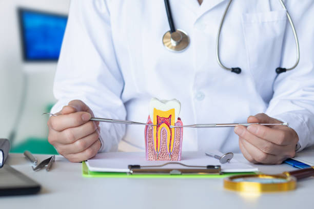 Best Emergency Dental Care for Abscessed Tooth in Honeygo, MD